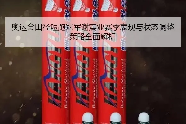 奥运会田径短跑冠军谢震业赛季表现与状态调整策略全面解析